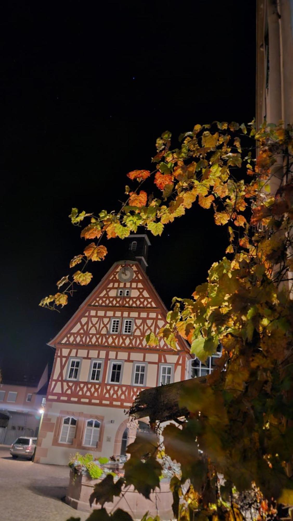 Brunnenputzer Pension Restaurant Kulsheim Buitenkant foto